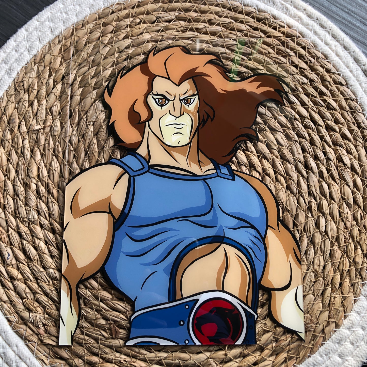 Lion O (Thundercats) 18x24cm